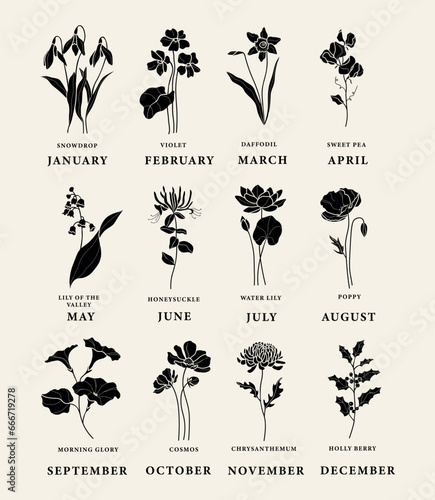 Flat vector birth month flowers set