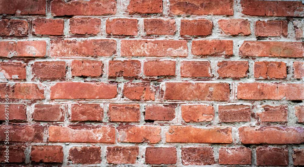 Fototapeta premium Natural background. Texture of a brick wall. Copy space.