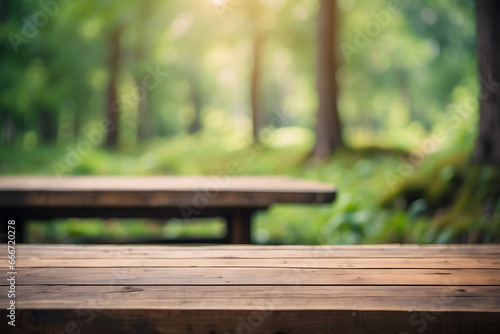 wooden bench in the park with blurred background 