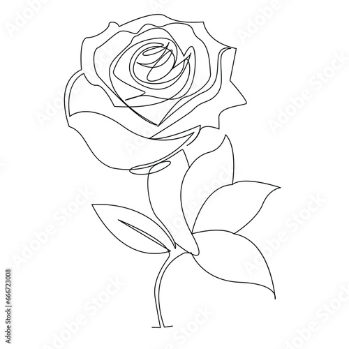 Continuous one line rose flower outline vector art drawing