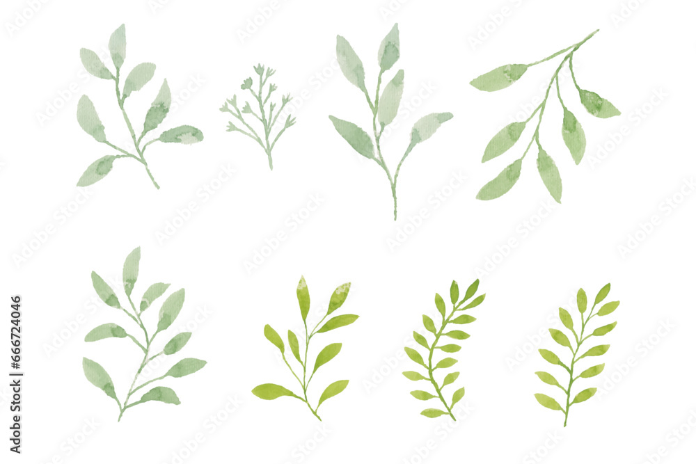 Fototapeta premium Assortment of watercolor leaves illustration set - green leaf branches collection for wedding, greetings, stationary, wallpapers, fashion, background. olive, green leaves, Eucalyptus etc