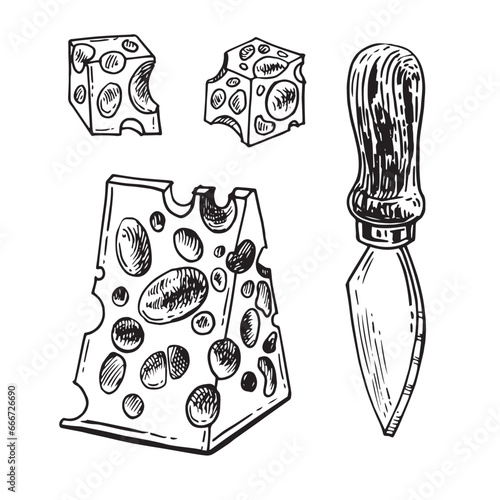 Vector hand drawn illustration with cheese pieces . Hand drawn Sketch. Engraving style image. Cheese knife special