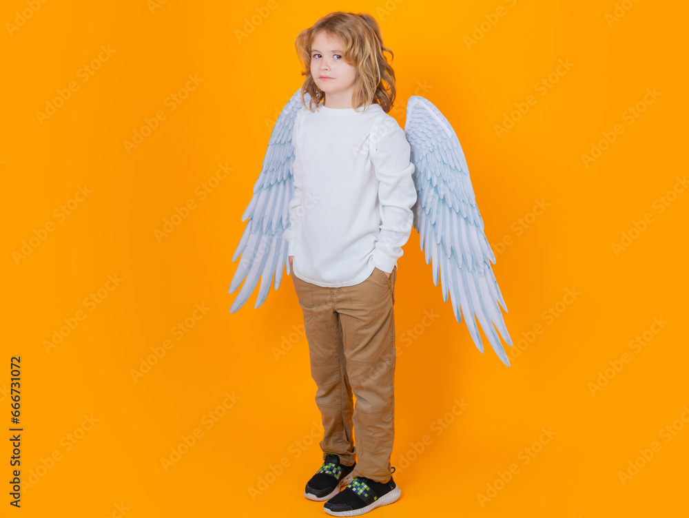Angel child. Isolated studio shot. Cute kid with angel wings. Cupid, valentines day concept. Angel child. Isolated studio shot. Cute kid with angel wings. Cupid, valentines day concept.