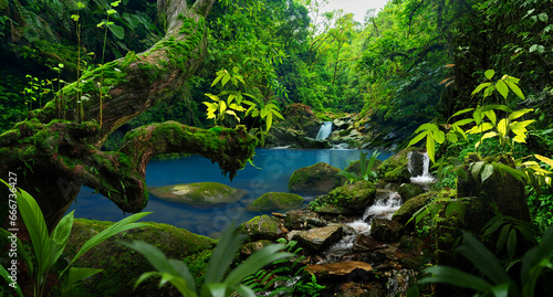 Fototapeta Naklejka Na Ścianę i Meble -  Blue river in tropical forest