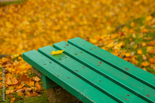 A park bench is covered with bright yellow leaves in autumn. Golden autumn in Valmiera