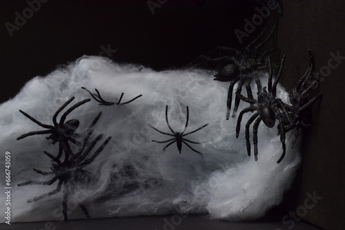 Konstfotografi Terrifying and dark background with spiders.