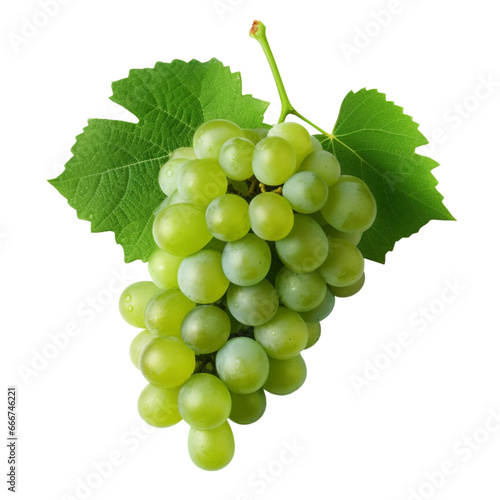Grapes with leaves clip art