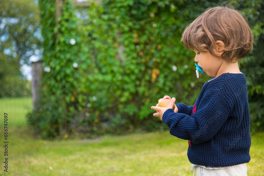 Caucasian Child boy, holding an apple picked from the tree in home garden. Brittany, France. background with copy space. Caucasian Child boy, holding an apple picked from the tree in home garden. Brittany, France. background with copy space.