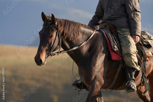 A shepherd on a horse on a mountain pasture. A close-up fragment. Autumn mountains in the background. © ROMAN DZIUBALO
