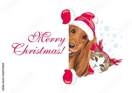 Peeking Santa Cocker Spaniel dog and cat with Christmas horns