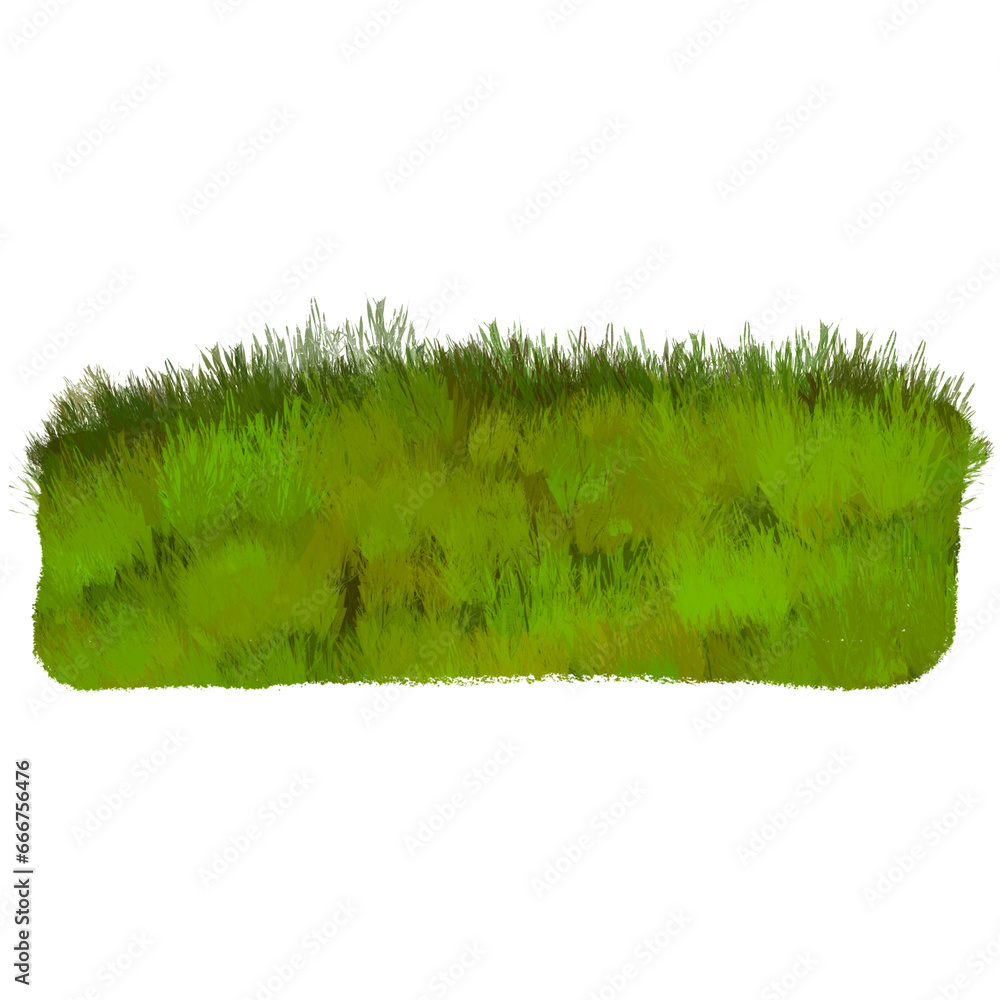 Obraz premium green grass