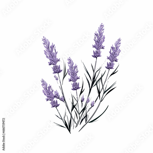 Lavender in cartoon  doodle style. 2d vector illustration in logo  icon style. AI Generative