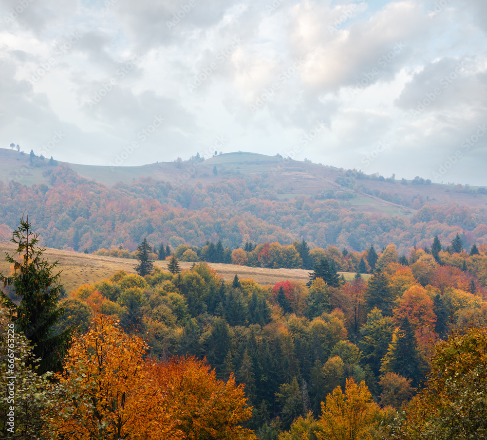 Autumn Carpathian Mountains landscape (Mizhhiria, Zakarpattia Oblast, Ukraine).