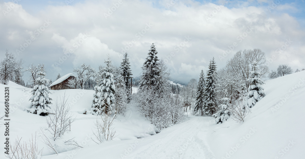 Obraz premium Wooden house, rural road and snowy trees on winter slope of Ukrainian Carpathian Mountains in cloudy weather.