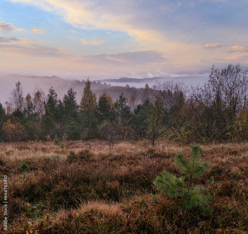 Cloudy and foggy early morning autumn meadow scene. Peaceful picturesque traveling, seasonal, nature and countryside beauty concept scene. Carpathian Mountains, Ukraine.