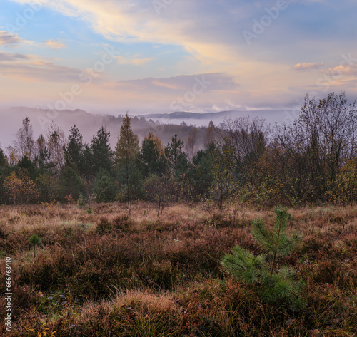 Obraz na płótnie Cloudy and foggy early morning autumn meadow scene. Peaceful picturesque traveling, seasonal, nature and countryside beauty concept scene. Carpathian Mountains, Ukraine. w salonie