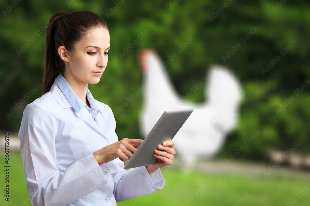 Young veterinary doctor with tablet computer on chicken farm Young veterinary doctor with tablet computer on chicken farm