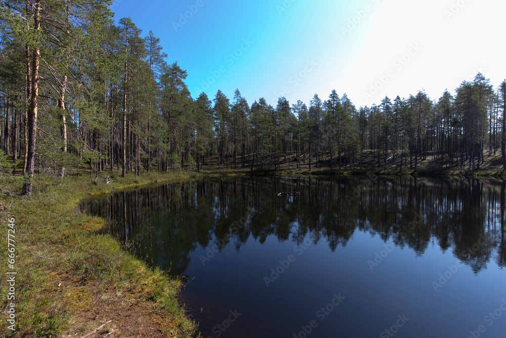 Obraz premium Landscape of lake region during summer