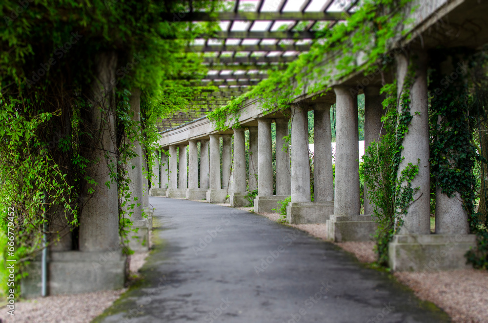Pergola Wrocławska przy Hali Stulecia została wybudowana w 1913 roku. Do popularnych miejsc spacerów, czy koncertów.
Pergola Wrocławska przy Hali Stulecia została wybudowana w 1913 roku. Do popularnych miejsc spacerów, czy koncertów.
