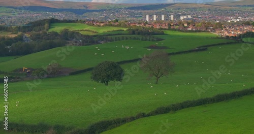 Aerial video of Tandle Hill landscape showing green fields and sheep grazing. Beautiful Vista photo