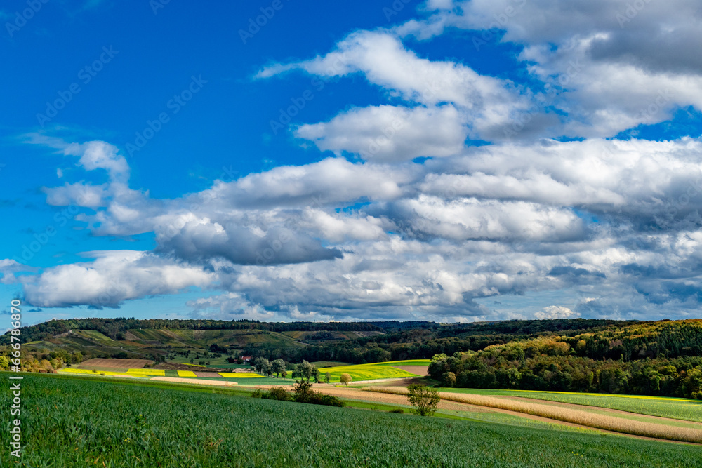 Fototapeta premium Weinberge im Herbst