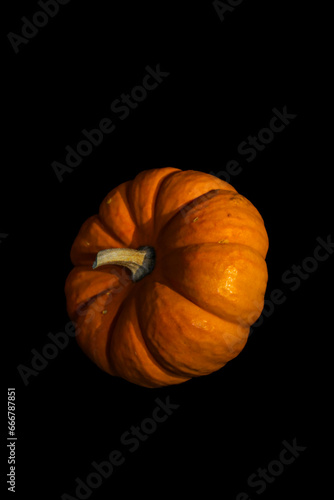 Orange Pumpkin