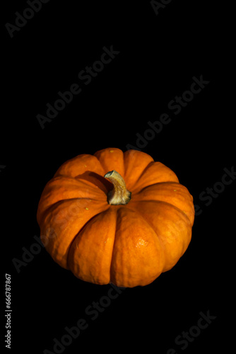 Orange Pumpkin