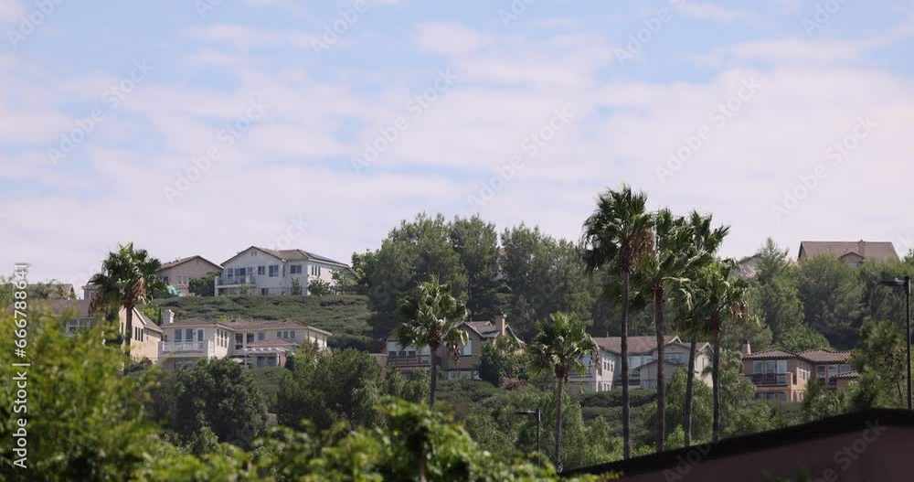 Palm tree framed view of affluent housing in La Habra, California, USA.