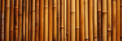 The texture of bamboo wood in the background