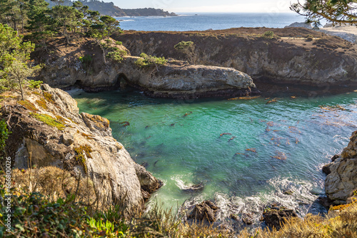 Beautiful view of the turquoise bay, Point Lobos State Natural Reserve