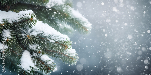 Close up background of fir tree branches with snow. Christmas or winter banner with copy space.