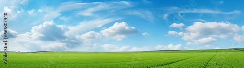 Eine grüne Wiese und blauer Himmel , Panorama, Texture, Design
