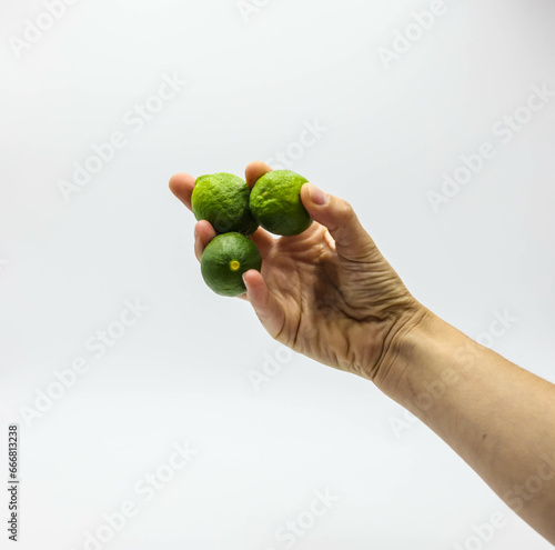 hand holding a organic lemons white background photo