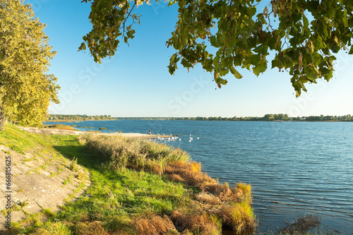 summer landscape, in the photo there is a river bank against a background of blue sky and trees photo