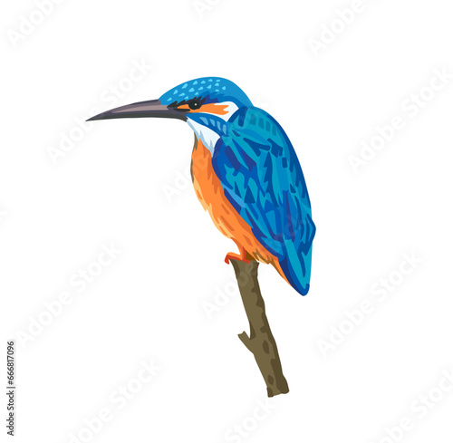 Colorful tropical bird, kingfisher. Hand drawn vector illustration. photo