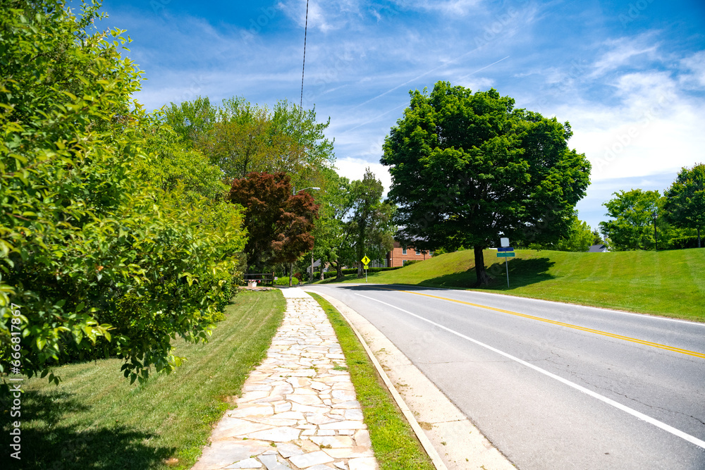 asphalt road with a yellow dividing strip among trees. Blue cloudy sky.