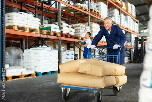 Elderly male loader in uniform with cargo cart loaded with bags in warehouse
