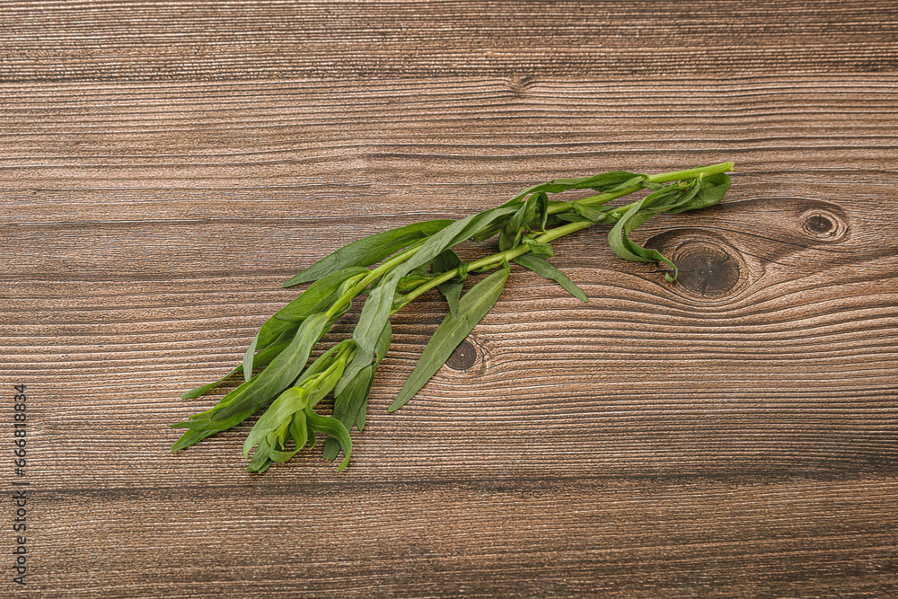 Green tarragon herb spice for cooking Green tarragon herb spice for cooking