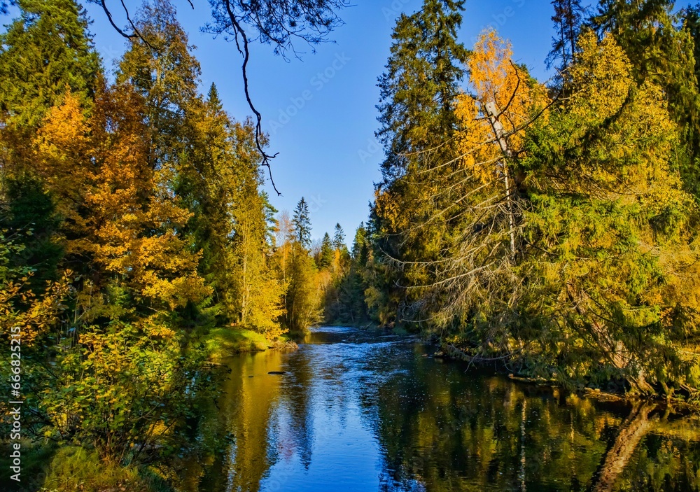 Scenic view of the river in the forest, bright colorful autumn, beautiful landscape