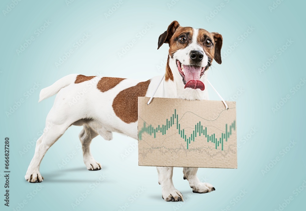Cool successful funny dog holding statistics and analytics. - obrazy, fototapety, plakaty 