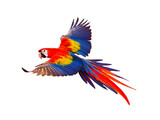 The flight of the macaw - El vuelo de la guacamaya