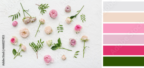 Many beautiful roses on lig...