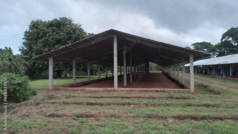 structure for raising chickens, shed structure for raising chickens, shed