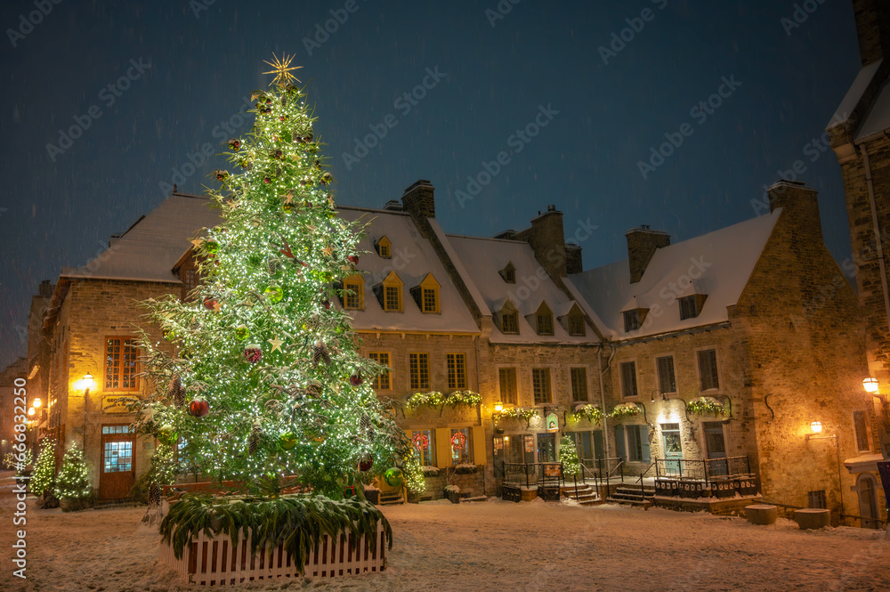 Obraz premium Christmas tree and winter holiday decorations in Place Royale on a snowy night, lower town in Old Quebec, Quebec City, Canada. Photo taken during a midnight walk in December 2022.