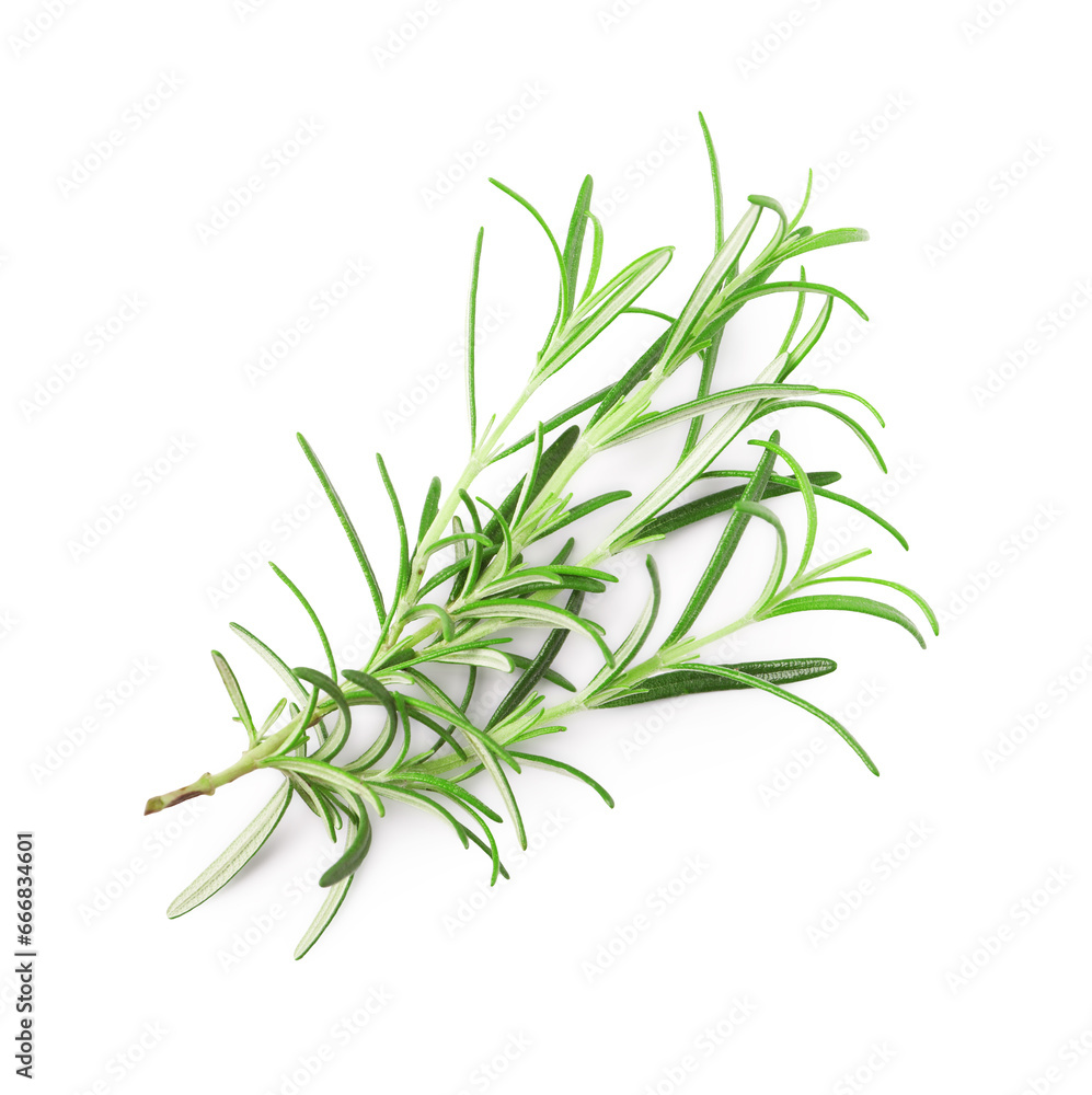 Fototapeta premium Sprig of fresh rosemary isolated on white, top view