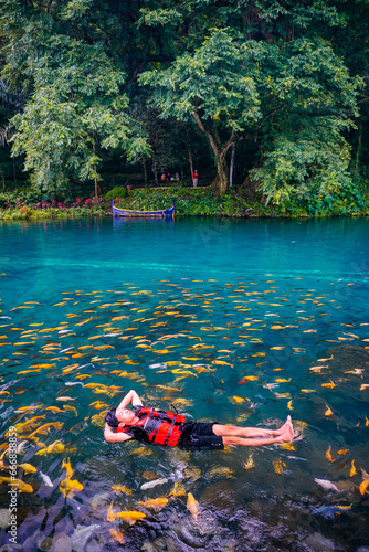 A tourist is swimming with fish in a clear lake of situ cipanten lakes Majalengka west java.  photo