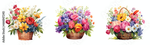 Assorted Flower Baskets Watercolor Collection,  three watercolor illustrations, each showcasing a different basket filled with a vibrant assortment of flowers, exuding charm and natural beauty