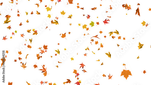 png autumn colorful leaves on transparent background