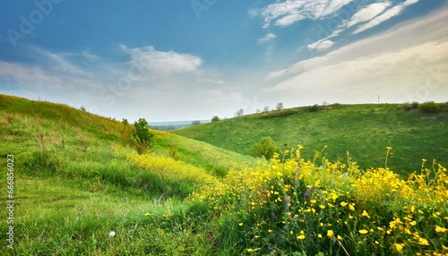 nature landscape green grass hills and yellow wild flowers in summer
