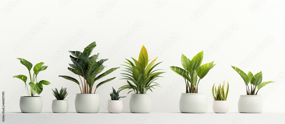 Realistic illustration of a potted plant with shadows isolated on a white background - obrazy, fototapety, plakaty 